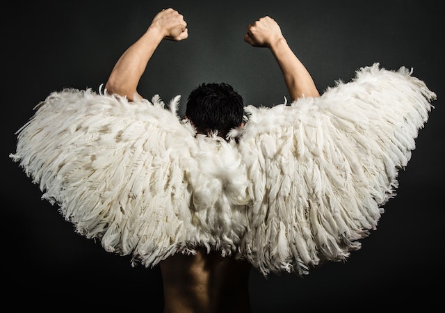 A very old man with enormous wings
